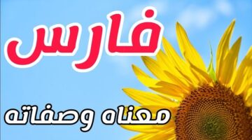 معنى اسم فارس