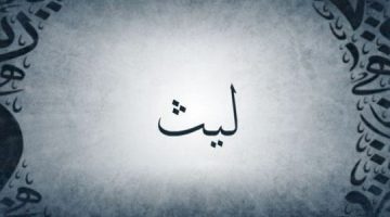 معنى اسم ليث 1