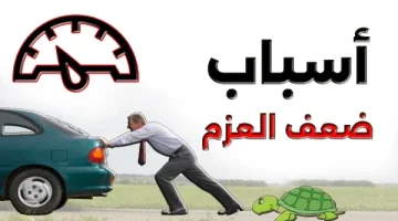 أسباب ضعف عزم السيارة