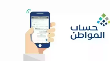 استحقاق الفرد في حساب المواطن