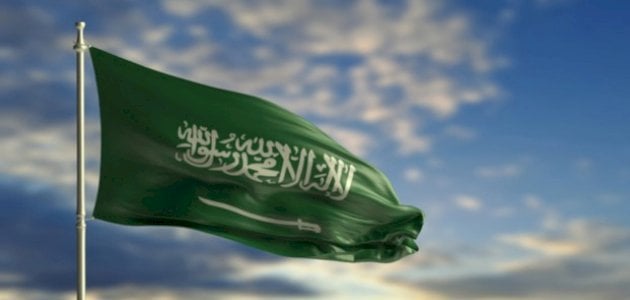 بحث عن وطني المملكة العربية السعودية