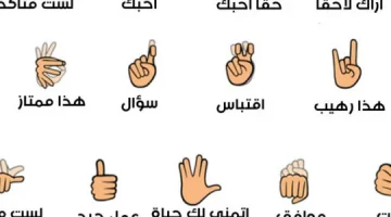 تعلم لغة الإشارة