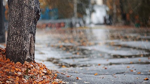 الأرصاد تتوقع طقسًا خريفياً مائلاً للبرودة مع شبورة مائية وفرص أمطار ضعيفة غدًا الاثنين