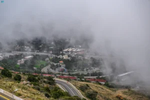 الباحة تكتسي الضباب والأمطار وتستقطب الزوار لمتنزهاتها