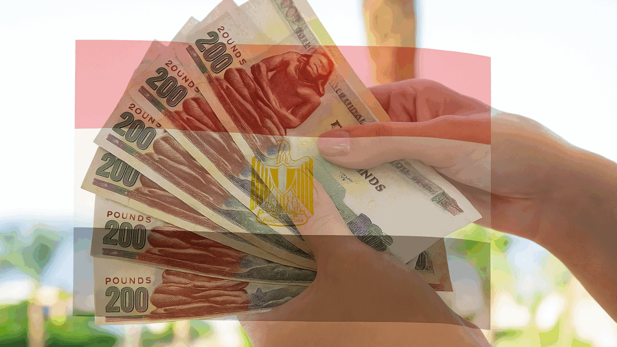 مرتبات شهر نوفمبر 2025