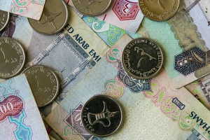 الدرهم الإماراتي يحافظ على استقراره أمام الجنيه المصري اليوم