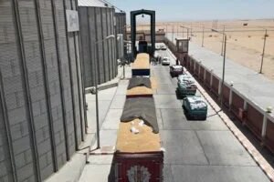 تقرير الحسابات يكشف: ملايين معطلة ومخالفات تضغط على أرباح مطاحن مصر الوسطى