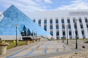 كيف أثرت استثمارات المصرية للاتصالات فى فودافون مصر على أدائها المالى؟