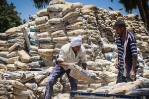 استقرار سعر الأسمنت اليوم السبت 7-3-2026.. الطن يسجل 4200 جنيه للمستهلك