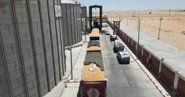 “` أسباب انخفاض ربحية مطاحن القاهرة تتجلى في ملايين معلقة ونزاعات تعود للتسعينيات “`