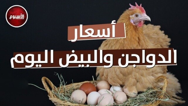 استقرار ملحوظ في أسعار الدواجن والبيض خلال تعاملات الأربعاء 27 مايو 2026