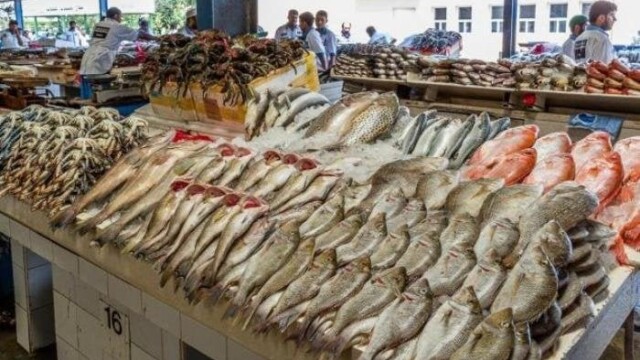 أسعار السمك تشهد تراجعًا ملحوظًا اليوم في الأسواق المصرية 18 مايو 2026