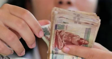 “` أمطار الأرباح تتواصل: خمس شركات جديدة تنضم إلى قائمة الموزعين بملايين الجنيهات “`