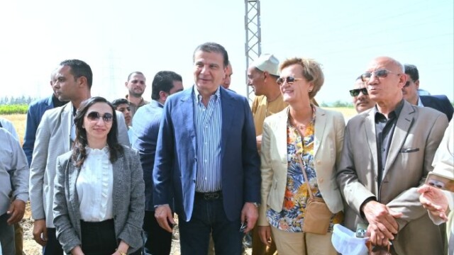 إنجازات مثمرة في البحيرة: توريد الأقماح يتجاوز 133 ألف طن بفضل المدارس الحقلية