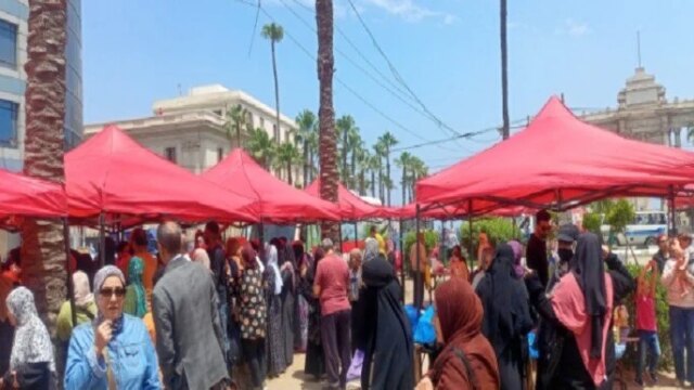 استعدادات مكثفة في الإسكندرية.. اكتشف مواقع أسواق اليوم الواحد قبيل عيد الأضحى