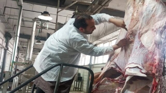 استقبال متميز للأضاحي في الإسكندرية حيث سجلت المجازر 872 أضحية في عيد الأضحى