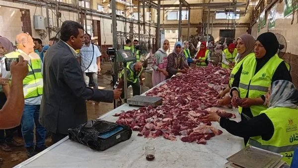 افتتاح المجزر الآلي بالباجور في المنوفية لتقديم خدمة ذبح الأضاحي مجانًا للمواطنين