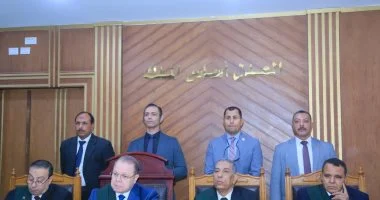 تأجيل محاكمة سيدة متهمة بنشر أخبار كاذبة لجلسة جديدة في 6 يونيو