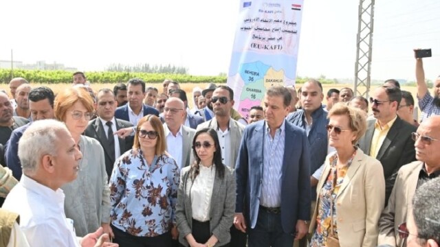 تحت رعاية وزير الزراعة ومحافظ البحيرة، حصاد القمح بحقول دمنهور بحضور سفيرة الاتحاد الأوروبي