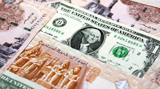 تحديثات هامة: سعر الدولار مقابل الجنيه المصري اليوم وموعد تغييرات العملة المتوقع