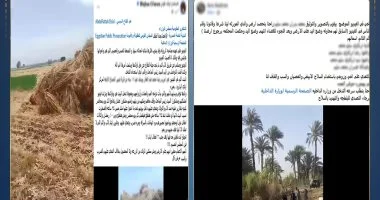 تحقيقات تكشف كواليس ادعاء طالبة بسحل زوجها وشقيقها في البحيرة بسبب الميراث