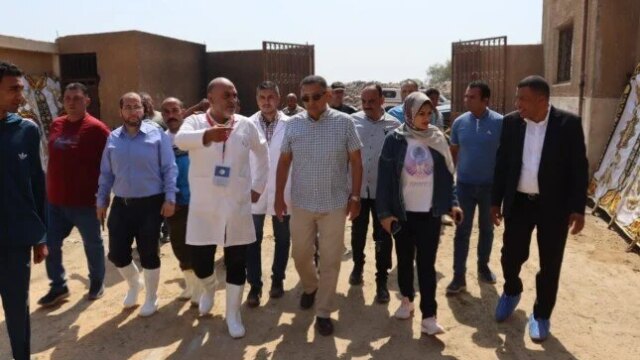 تفقد محافظ القليوبية مجازر الخانكة ومشروع حضانة السيارات المخالفة استعدادًا لعيد الأضحى المبارك