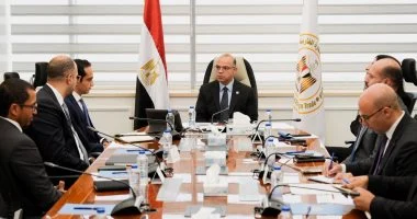“` توسعات استراتيجية مستقبلية، وزير الاستثمار يجتمع مع مسئولي DPI مصر وEgypt Ventures لبحث الفرص المتاحة “`