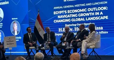 “` ثقة ووضوح وتنافسية ضرورية لجذب الاستثمار في مصر، وفقاً لنائب رئيس الوزراء “`