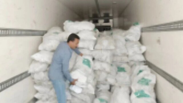 جهود محافظة أسيوط تتألق بذبح 125 عجلًا وتوزيع 5 أطنان من اللحوم للأسر المحتاجة بالتعاون مع «مصر الخير»