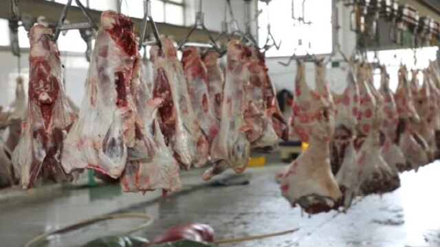 جولة ميدانية لمحافظ القاهرة في مجزر 15 مايو تمهيدًا لاستقبال أضاحي العيد