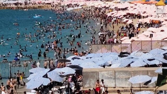 حصاد شكاوى عيد الأضحى في الإسكندرية يكشف ملاحظات هامة من المصايف خلال ثلاثة أيام