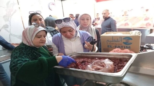 حملات رقابية مكثفة في الإسكندرية تفضي إلى غلق 53 منشأة ورفع 676 محضرًا