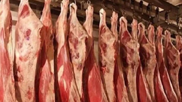 خبر سار للمواطنين بالإسكندرية: فتح المجازر مجانًا خلال عيد الأضحى المبارك