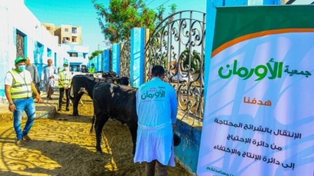 خطة شاملة لتوزيع 75 ألف كيلو لحوم أضاحي بالمنيا من التضامن والأورمان