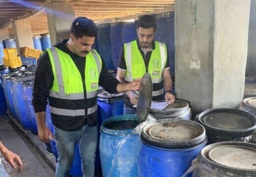 ضبط 10 أطنان من المخللات داخل مصنع غير مرخص بالغربية بواسطة هيئة سلامة الغذاء