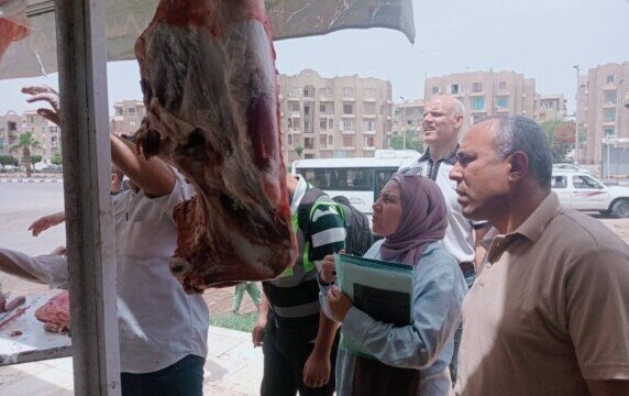 ضبط 690 كيلو جرام من اللحوم المذبوحة خارج السلخانة في محافظة القليوبية