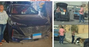 ضبط سيدة تتلاعب بالتبرعات باسم الرفق بالحيوانات وتقدم طعامًا ملوثًا