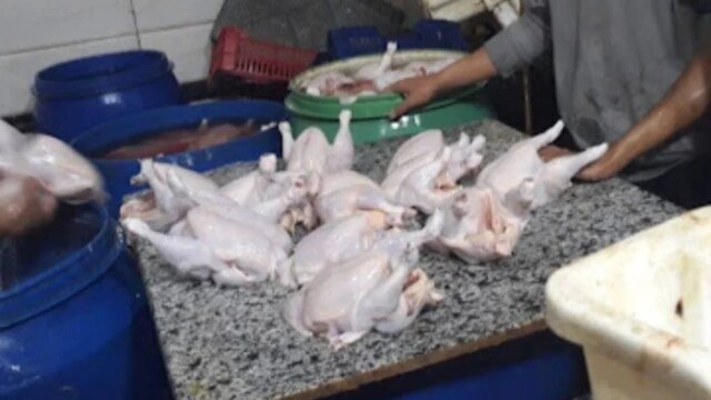 ضبط نحو نصف طن من اللحوم والدواجن غير الصالحة للاستهلاك في القليوبية خلال حملات تفتيشية