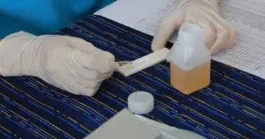 ضبطت الأجهزة الأمنية 96 ألف مخالفة و57 سائقاً تحت تأثير المخدرات خلال 24 ساعة