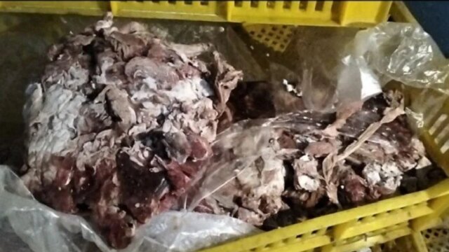 ضبطت الأجهزة الأمنية في بورسعيد 3 أطنان من اللحوم والدواجن الفاسدة قبل بيعها للمواطنين