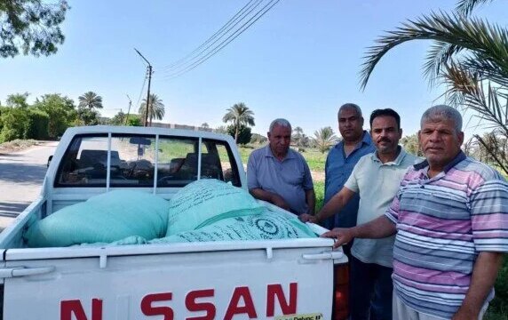 ضبطت قوات الأمن كميات كبيرة من الدقيق البلدي المدعم قبل تهريبها في بني سويف