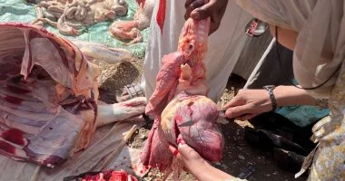 عقوبة ذبح الأضاحي خارج المجازر الحكومية تثير جدلاً واسعاً في الأوساط الشعبية