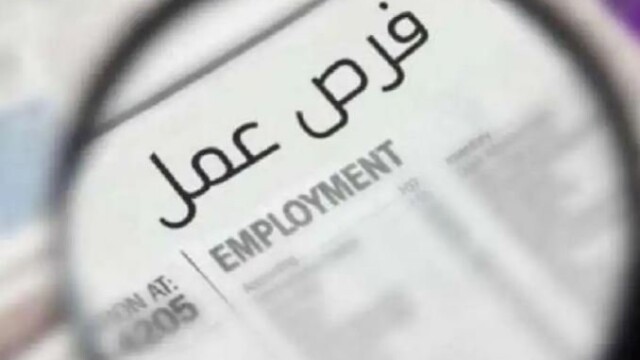 فرص عمل مغرية للسائقين في ميناء دمياط برواتب تصل إلى 25 ألف جنيه