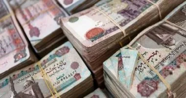 “` فوائض الهيئات الاقتصادية في موازنة مصر 2027 تتكشف بالأرقام وتفاصيل جديدة “`
