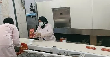 “` مب initiatives حيوية تتجه ممفيس للأدوية نحو استثمارات تبلغ نصف مليار لتحقيق مبيعات تزيد عن المليارين “`