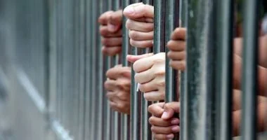 تأييد الحكم بالسجن المؤبد لشقيقين قتلا شاباً أنقذ طفلاً من ذوي الهمم بالدقهلية