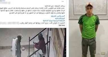 مسجل خطر يستهدف فتاة بالحجارة بسبب موبايل.. والأمن ينجح في ضبطه