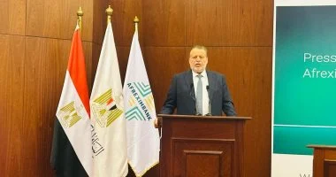 “` مصر تستضيف الاجتماعات السنوية للبنك الإفريقي للتصدير والاستيراد برئاسة حسن عبد الله “`