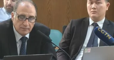 “` مصر تشهد تحولات جذرية في تشريعات الطاقة المتجددة، وفقاً لرئيس شعبة الطاقة “`