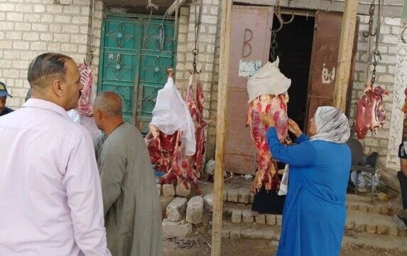 نجاح كبير في حملة بيطرية بالمنيا يحرر 44 محضرًا ويضبط 478 كجم من الأغذية الفاسدة
